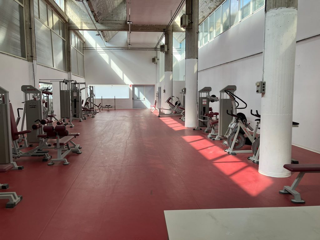 Palestra Fitness Schillaci dell'ASD Majorana Cascino a Piazza Armerina attrezzata con tapis roulant, cyclette e pesi